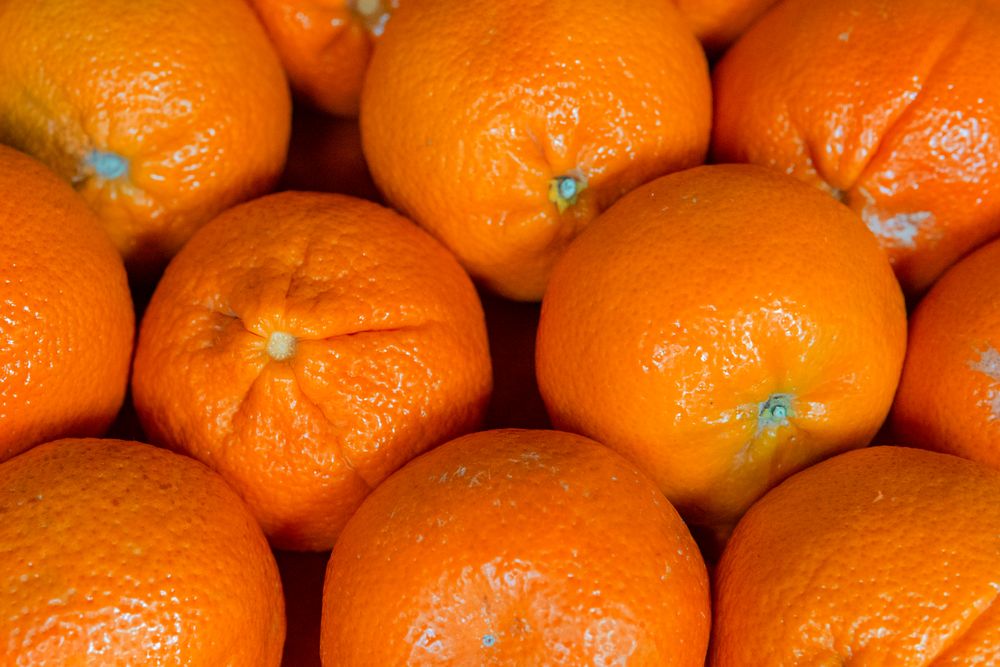 Naranjas, fotografía ilustrativa